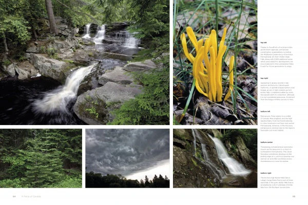 Reserves of Strength: Pennsylvania's Natural Landscape by Schiffer Publishing - Image 3