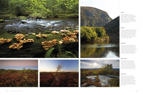 Reserves of Strength: Pennsylvania's Natural Landscape by Schiffer Publishing - Image 4
