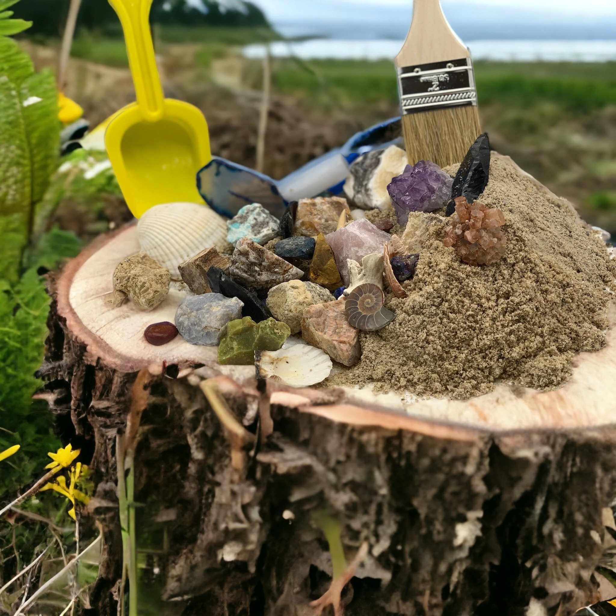 Rock and Crystal Mystery Miner's Box by Rock the Top Inc. - Image 4