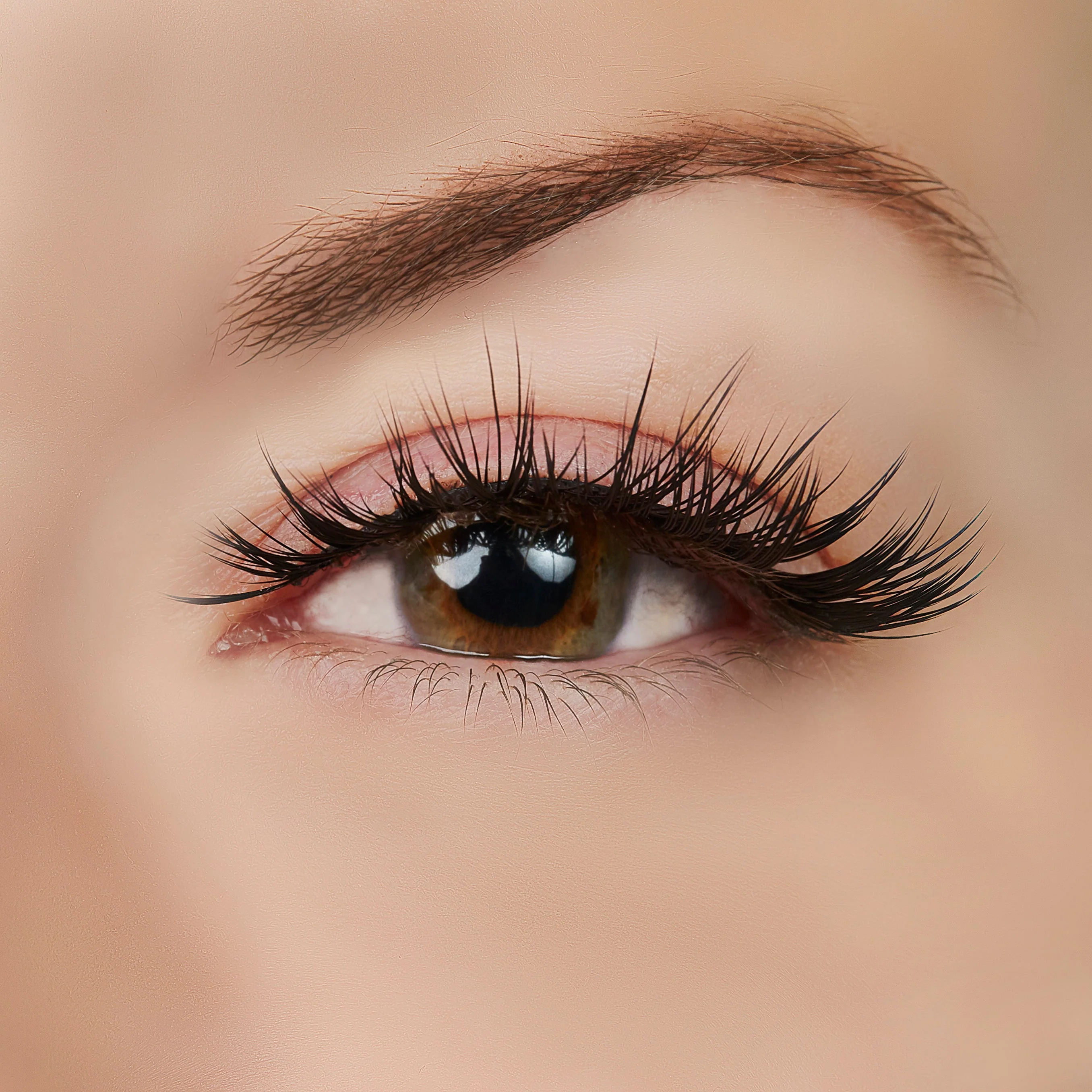 Role Model Lash Style by True Beauty Lashes - Image 2