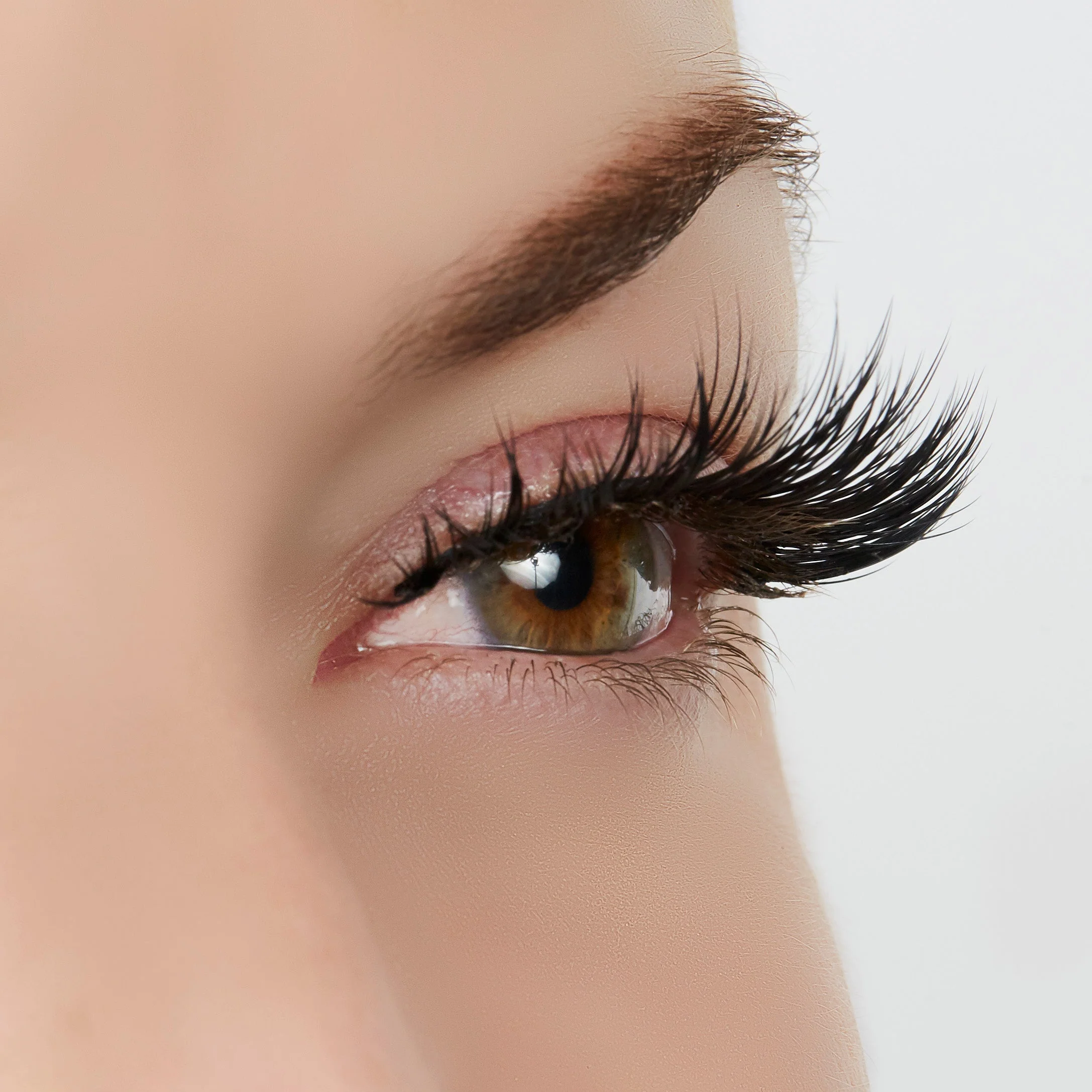Role Model Lash Style by True Beauty Lashes - Image 3