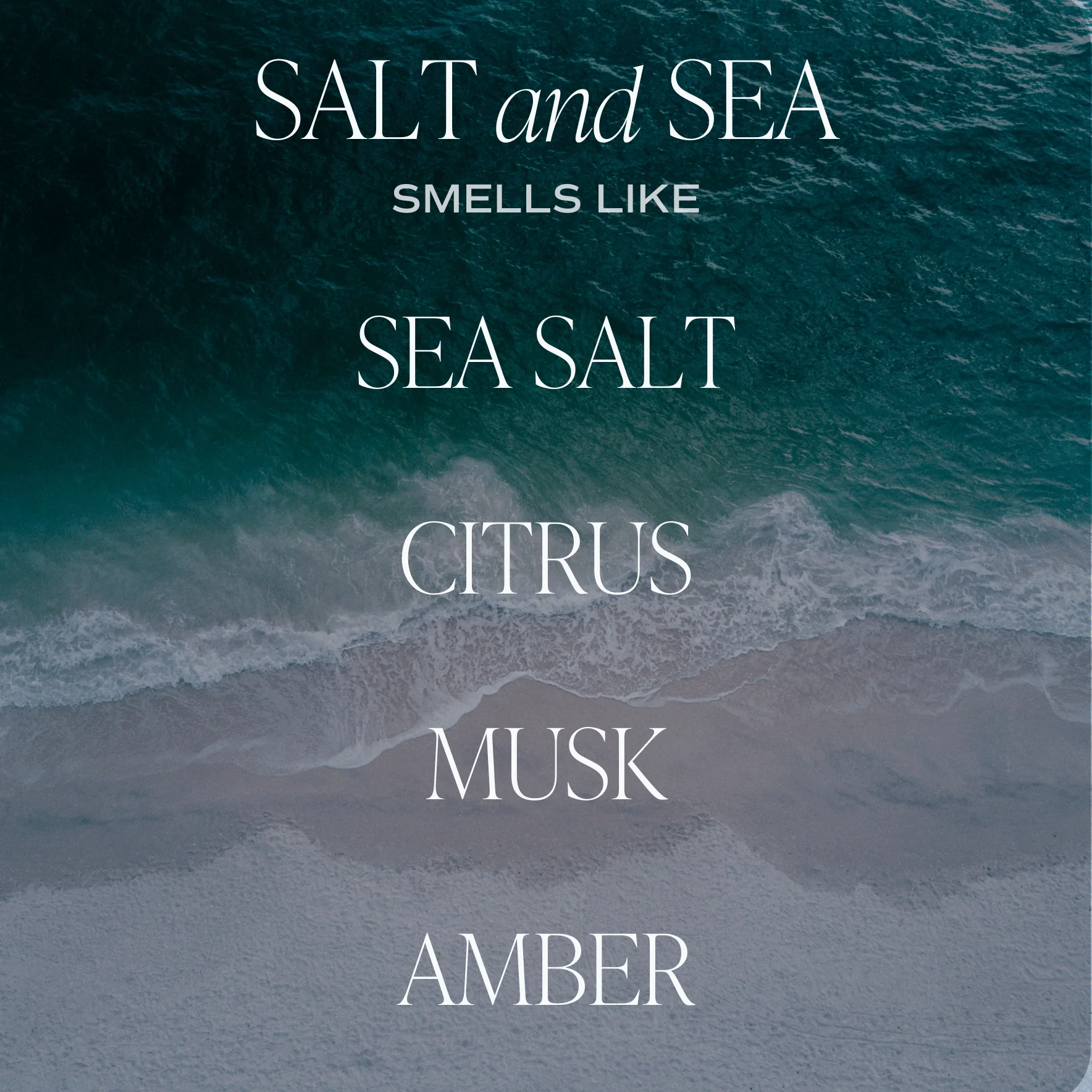 Salt and Sea Clear Reed Diffuser by Sweet Water Decor - Image 2