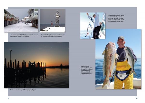 Saltwater Tales by Schiffer Publishing - Image 4