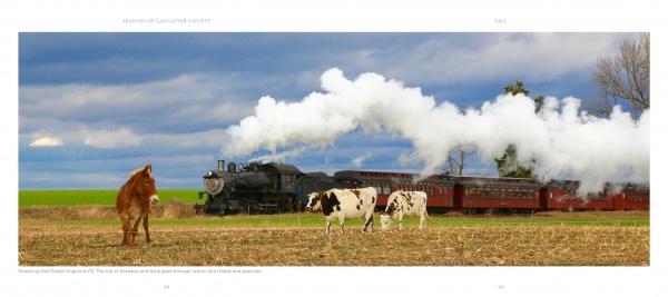 Seasons of Lancaster County by Schiffer Publishing - Image 5