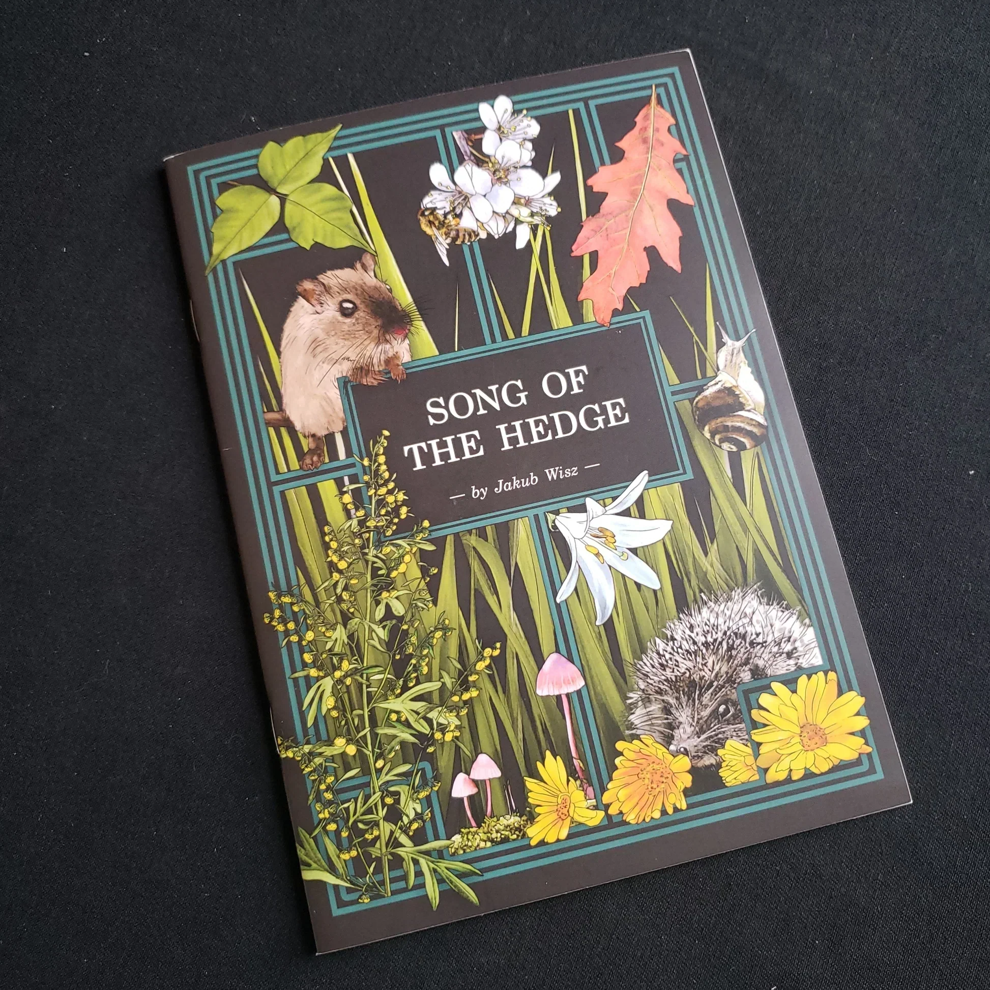 Song of the Hedge: Herbalist's Primer Adventure - Image 2