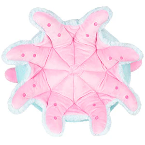 Squishable Dumbo Octopus (Standard) - Image 3
