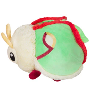 Squishable Luna Moth (Mini) - Image 2