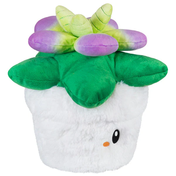 Squishable Succulent (Mini) - Image 2