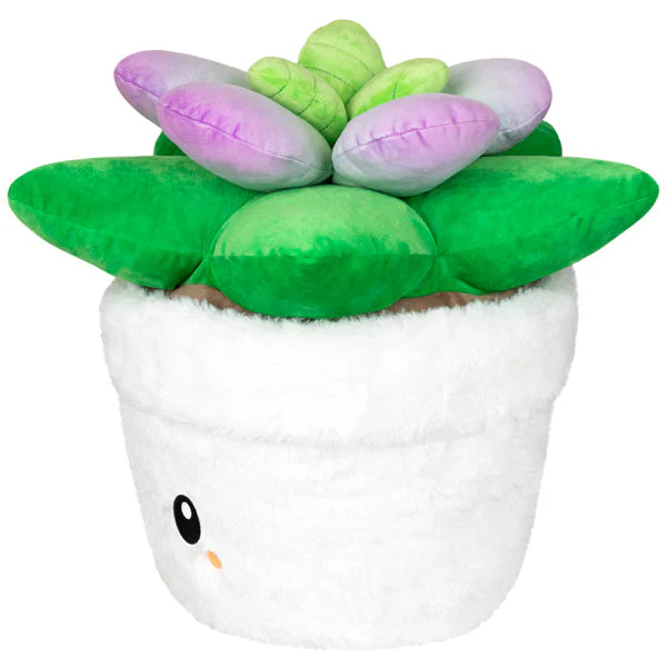 Squishable Succulent (Standard) - Image 2