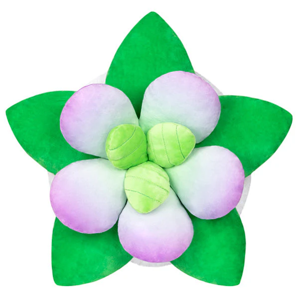 Squishable Succulent (Standard) - Image 3