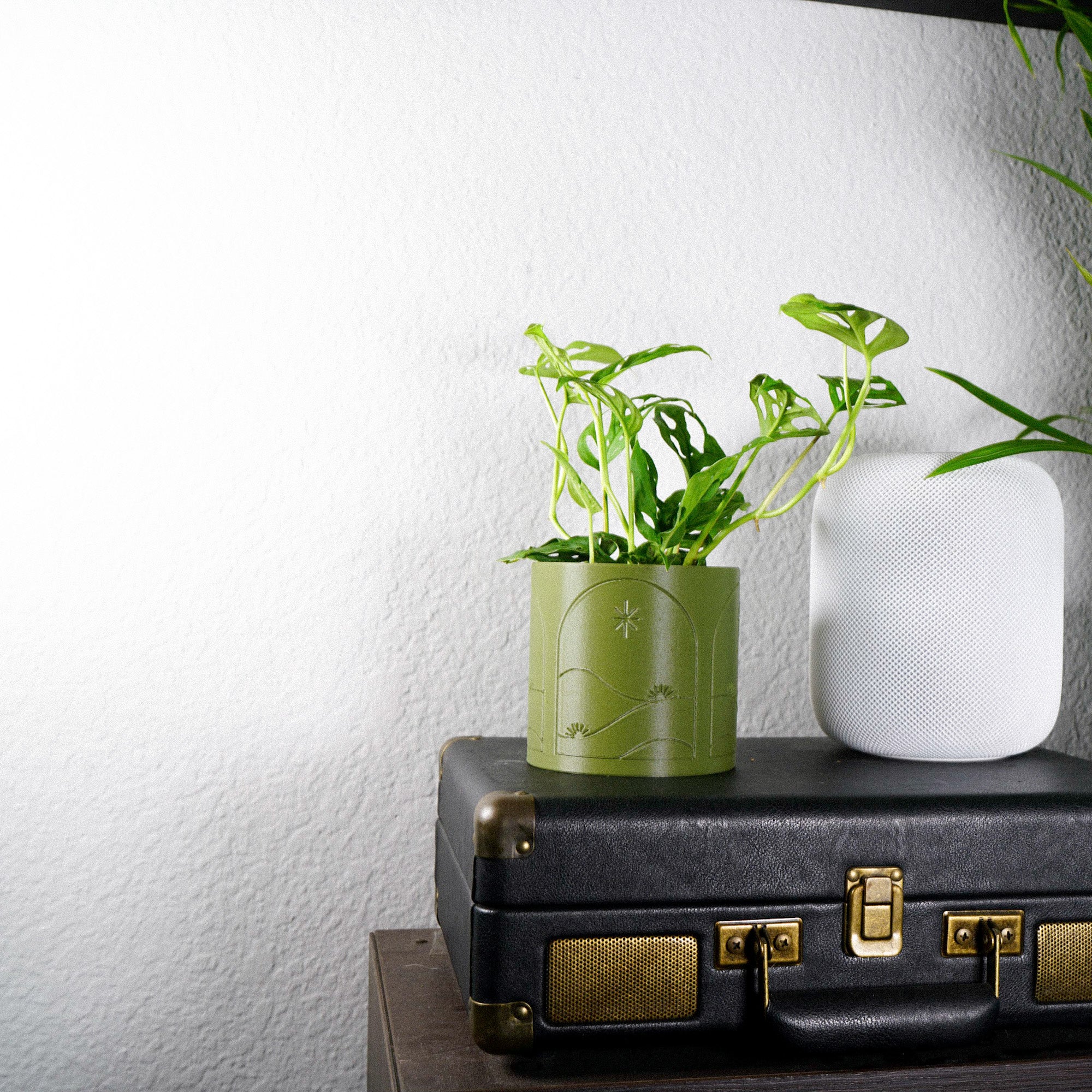 Starry Night Planter Pot with Drainage and Drip Tray, Unique Plant Gifts by Rosebud HomeGoods - Image 3