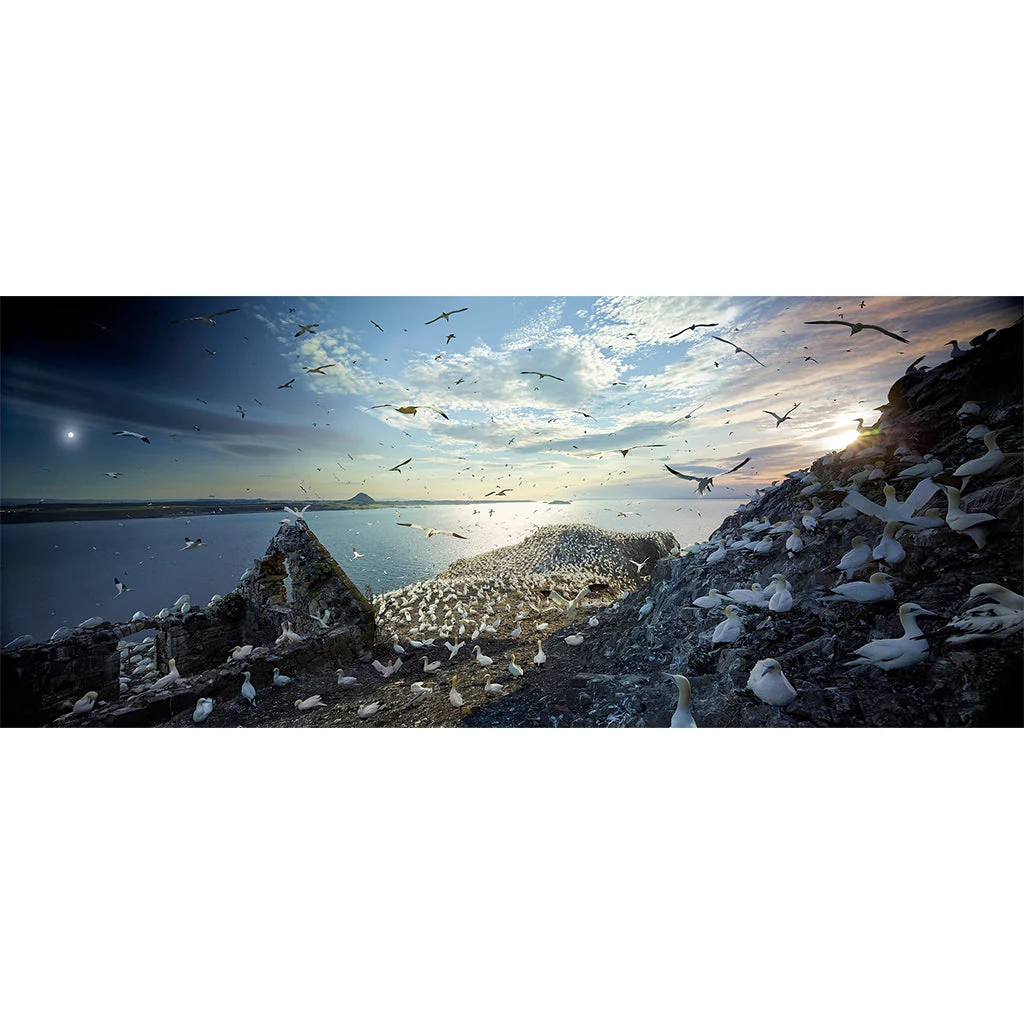 Stephen Wilkes: Bass Rock, Scotland - Day to Night - Image 2