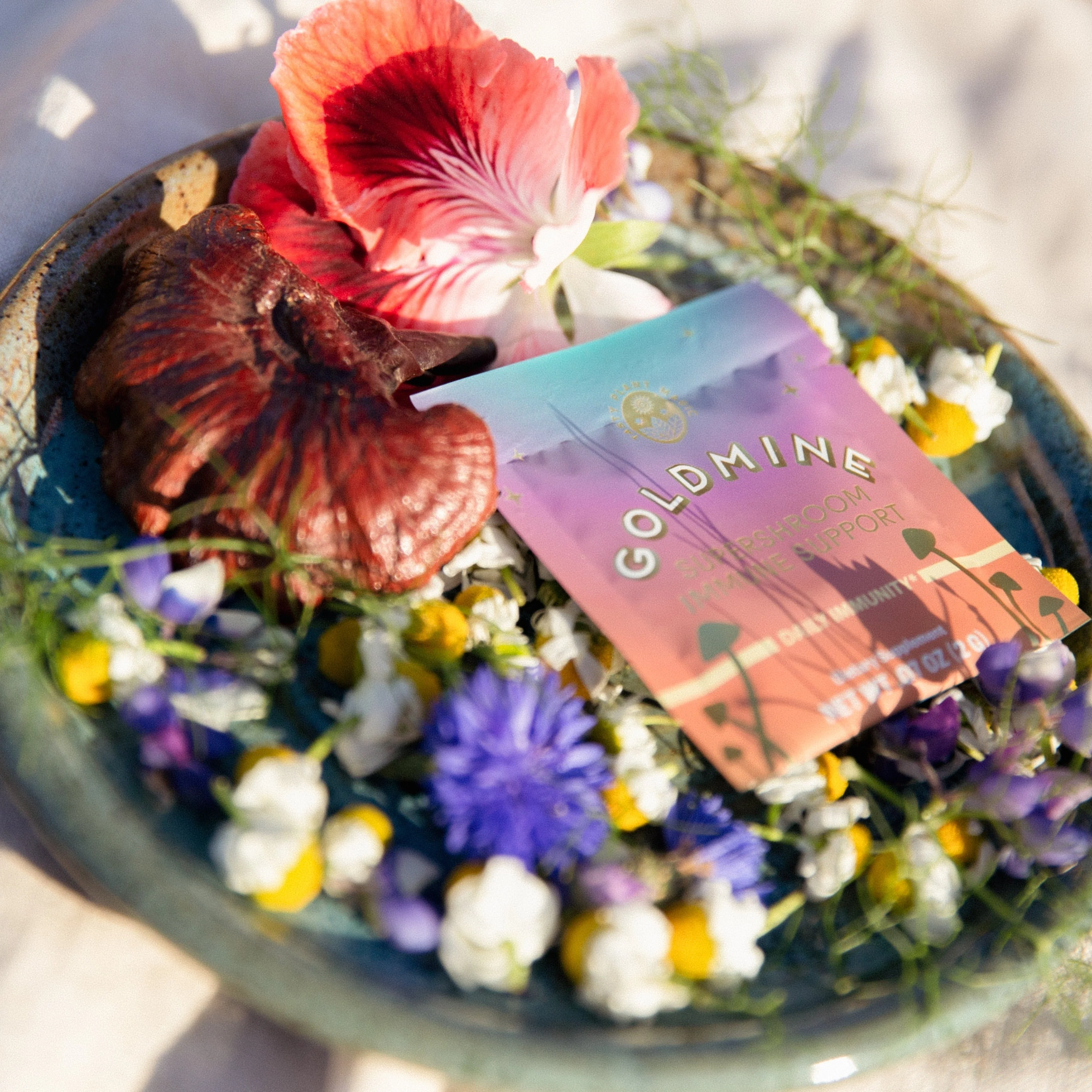 Supershroom Immunity Support Packets by Goldmine Adaptogens - Image 6