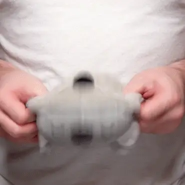 TeeTurtle Reversible Koala: Gray (Mini) - Image 2
