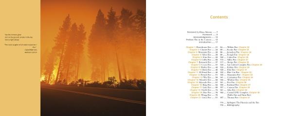 Terra Flamma by Schiffer Publishing - Image 2