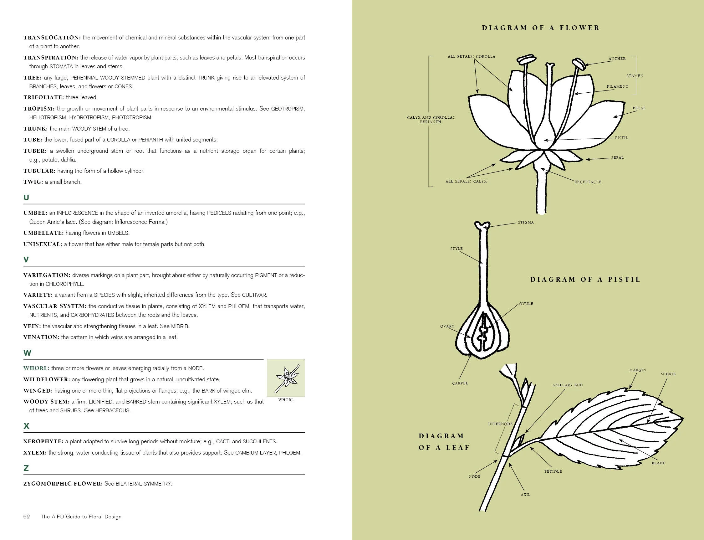 The AIFD Guide to Floral Design by Schiffer Publishing - Image 5