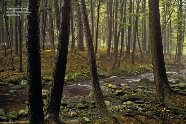 The Poconos by Schiffer Publishing - Image 5