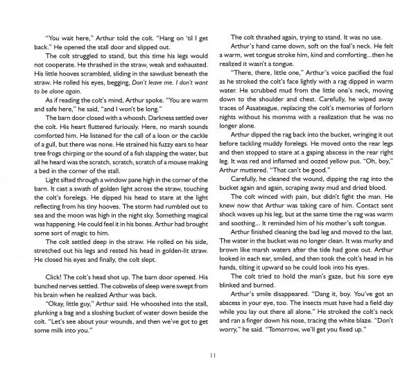 The True Story of Miracle Man by Schiffer Publishing - Image 2