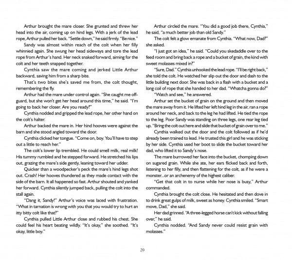 The True Story of Miracle Man by Schiffer Publishing - Image 3