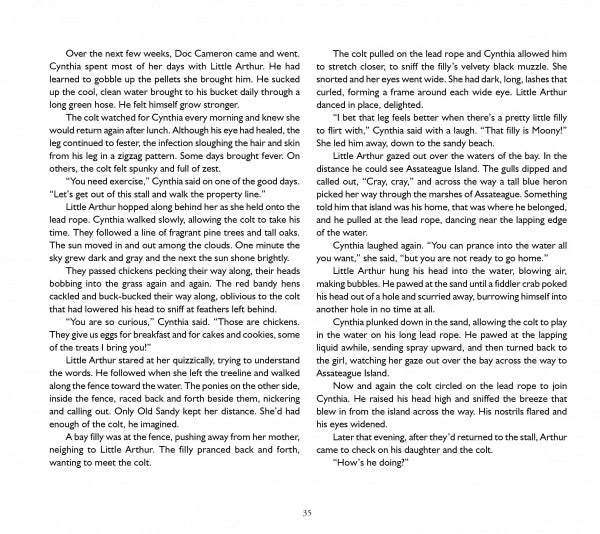 The True Story of Miracle Man by Schiffer Publishing - Image 4