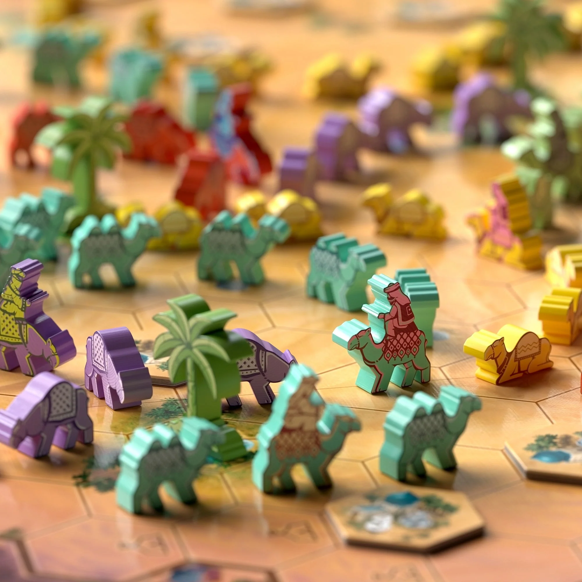 Through the Desert - Image 3