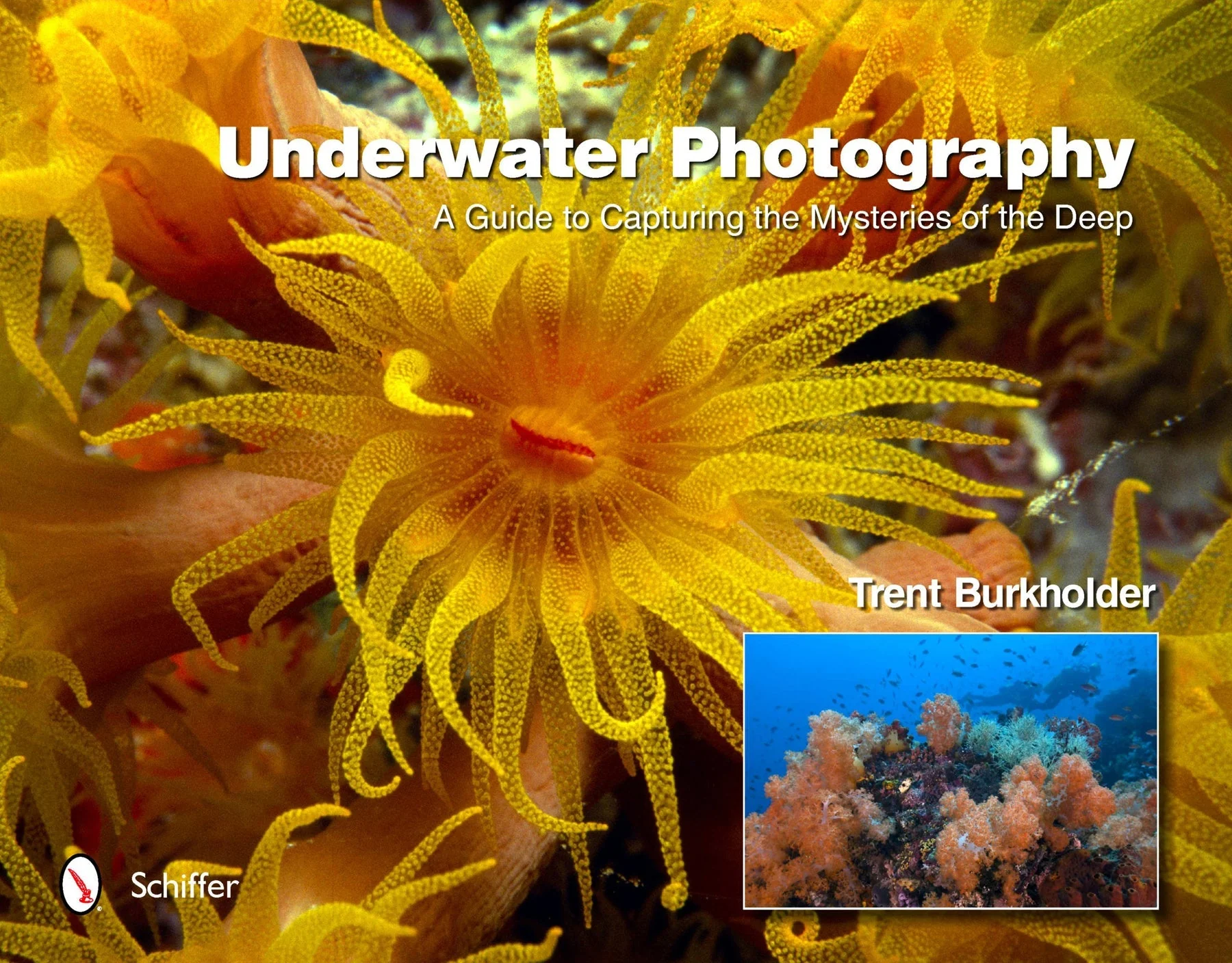 Underwater Photography by Schiffer Publishing - Image 2