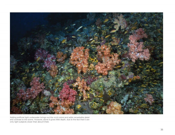 Underwater Photography by Schiffer Publishing - Image 4