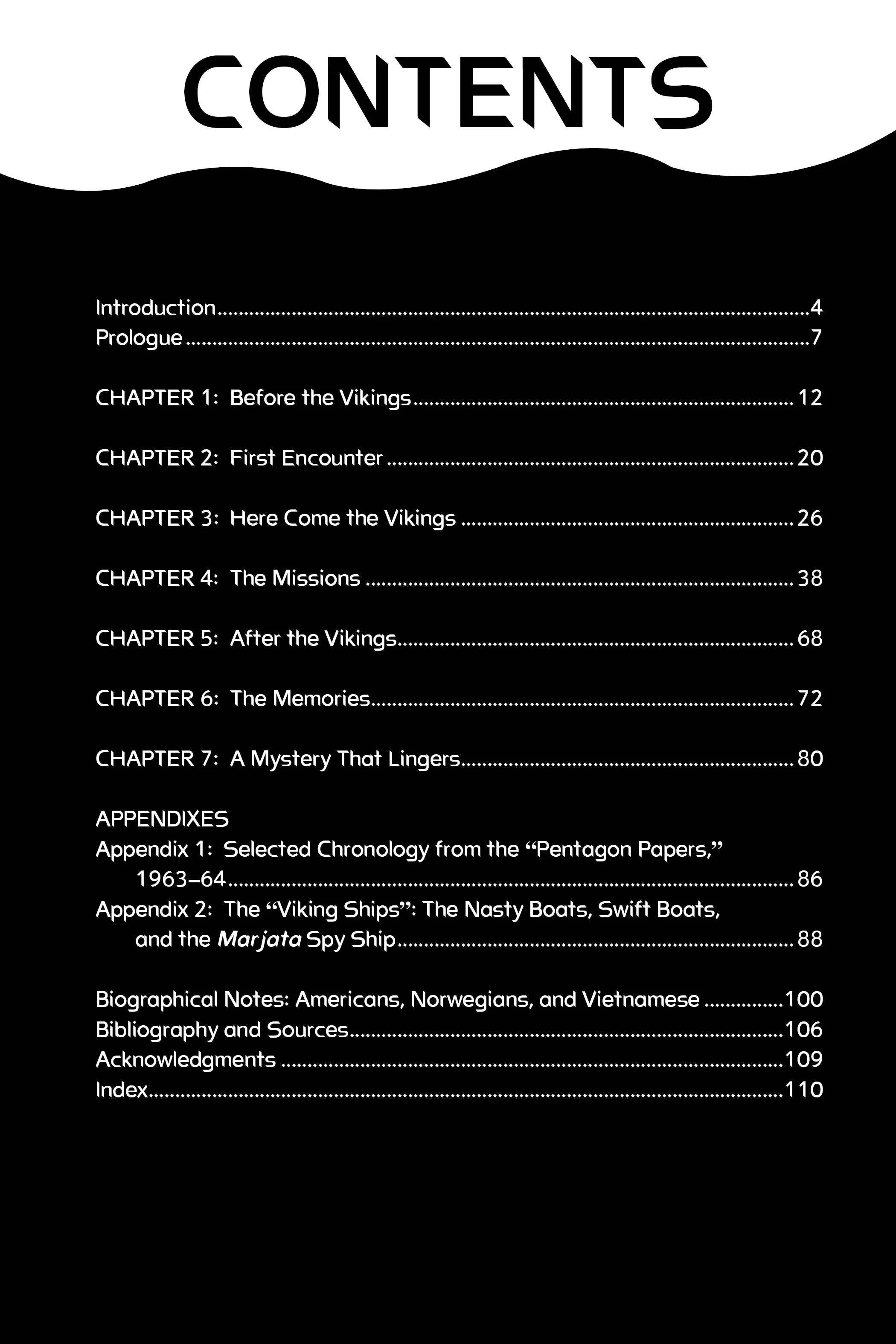 Vikings in Vietnam by Schiffer Publishing - Image 2