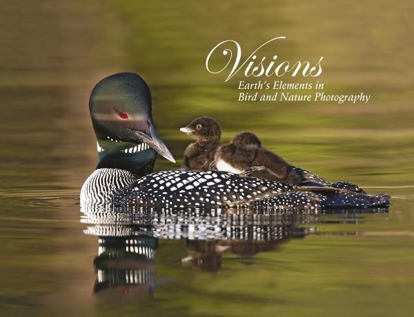 Visions by Schiffer Publishing - Image 2